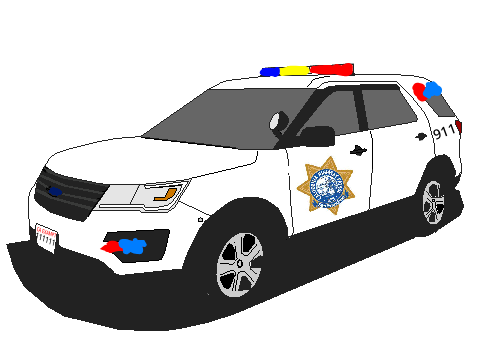 CHP POLAR