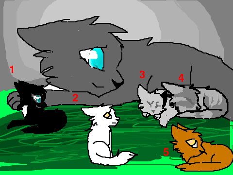 greyflowers first litter