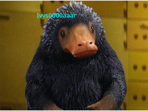 sign if you love Nifflers!