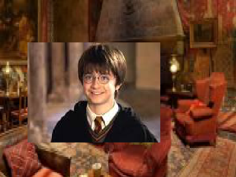 Talk to Harry Potter
