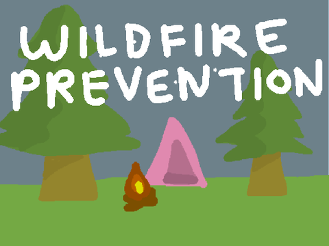 Wildfire Prevention