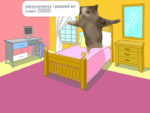 Cat Meme （猫ミーム）「英語訳」