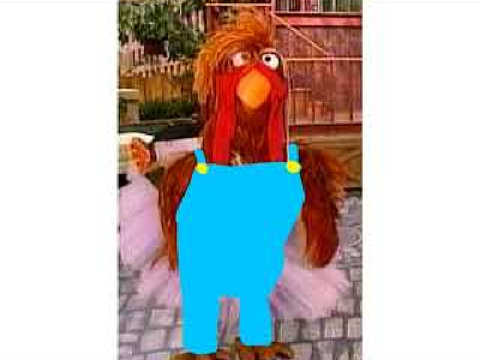 GIBLETS BARCHICKENOV