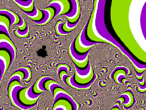 Optical Illusions