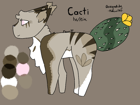⋙ Cacti ⋙ DTAE #1