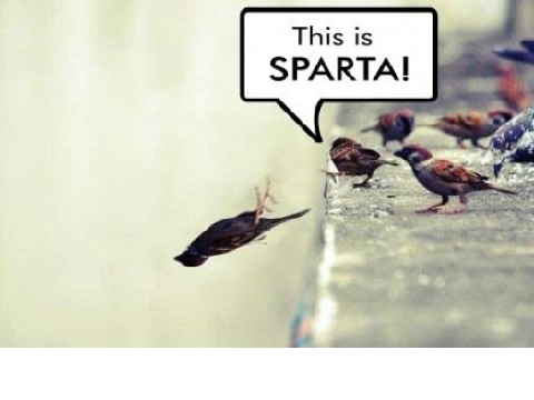 THIS IS SPARTA!!!!!