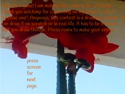contest for wilchimp