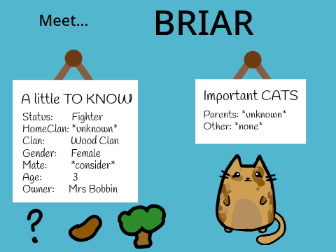 BRIAR