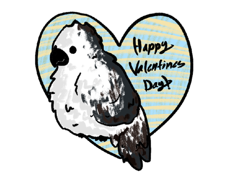 happy valentines day pas <3333 /p