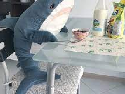 blahaj