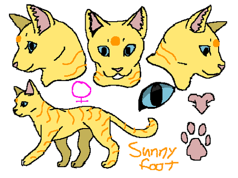 NEW sunnyfoot design/Ref sheet!!!