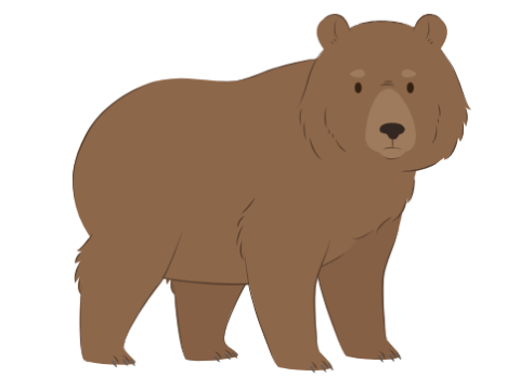 FIND UR COLORED BEAR!
