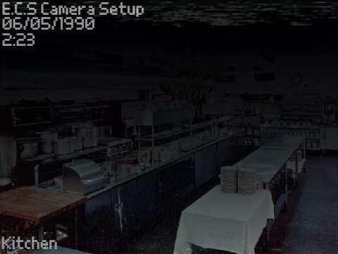 Camera Footage