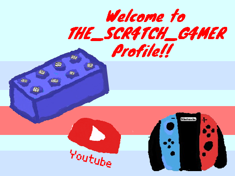 THE_SCR4TCH_G4MER entry