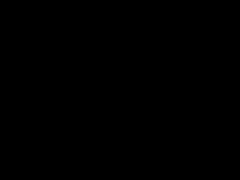 Movie of pootis