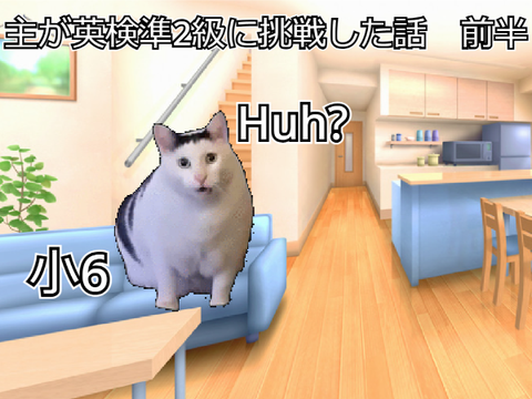 〈猫ミーム〉主が英検準2級に挑戦した話　前半