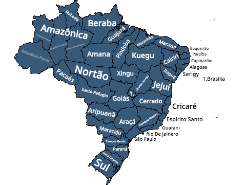 Map of Subdivision of Brazil except I redrew and rename it