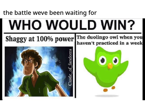 meme