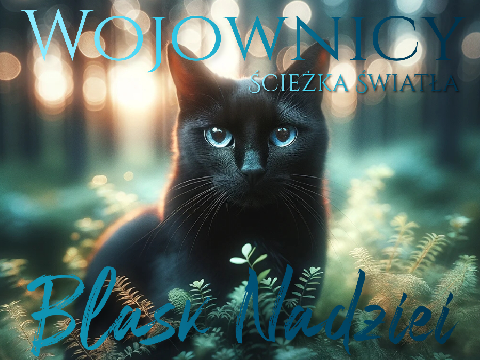 Wojownicy „Ścieżka Światła”: „Blask Nadziei”