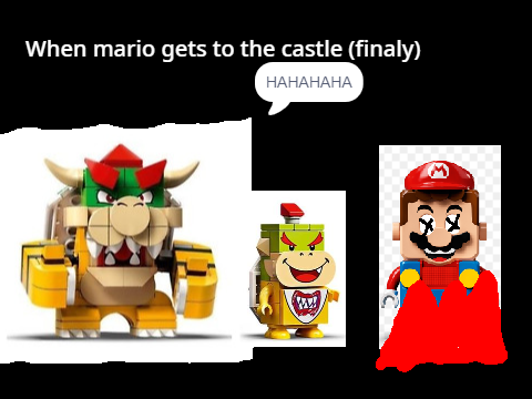 When mario gets in to bowsers castle
