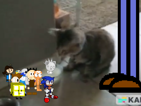 AY In Mr Kitty Cool Bunnies Pilot (10)
