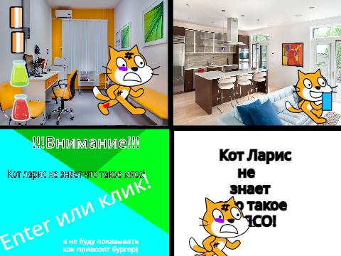 Кот Ларис, знакомство! 1 часть!