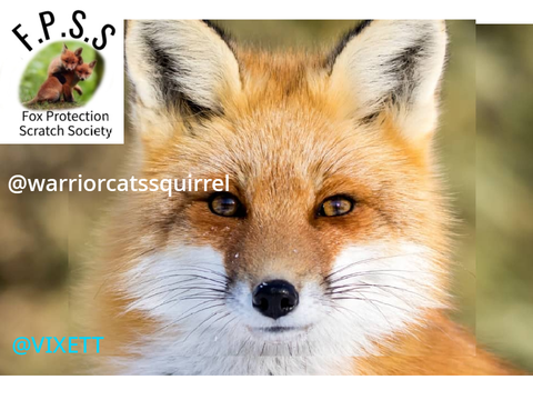 SOS for my school fox remix