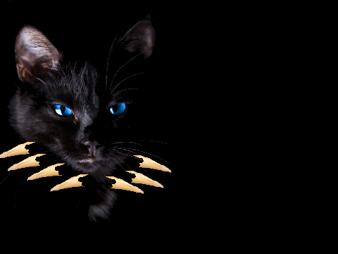 Nightfur's Profile