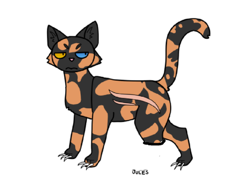New cat for rp!