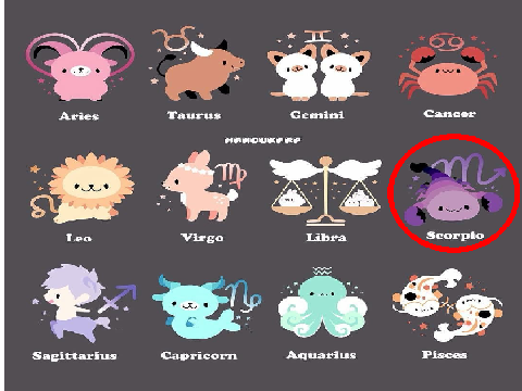 circle your zodiac sign remix