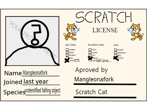 My Scratch License 