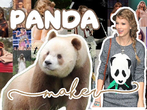 ꔫ panda maker