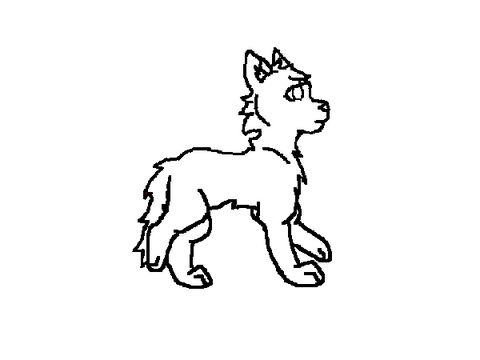 Walk Cycle