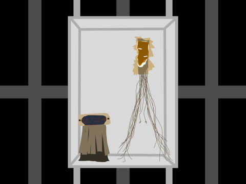 rotting wood in elevator