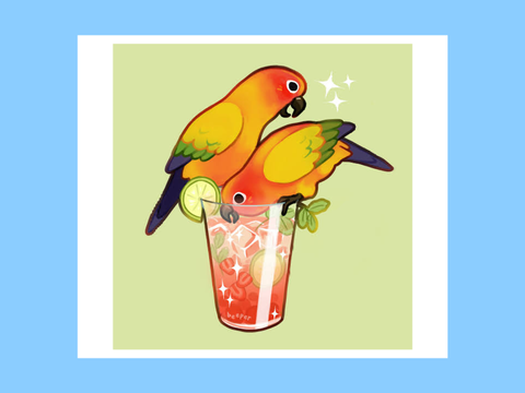 My fav Tumblr Birds!