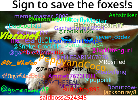 STOP HUNTING FOXES!!! :3 remix remix remix remix remix remix remix