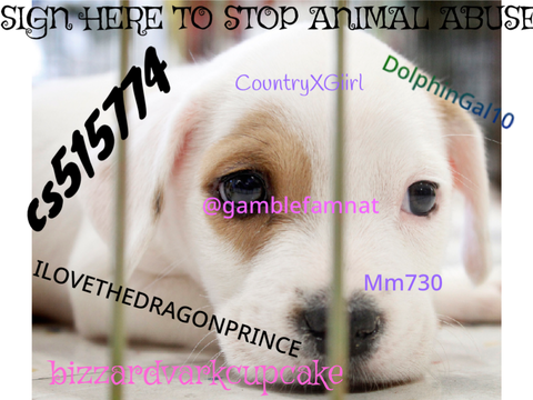 SIGN HERE TO STOP ANIMAL ABUSE remix remix remix remix remix remix
