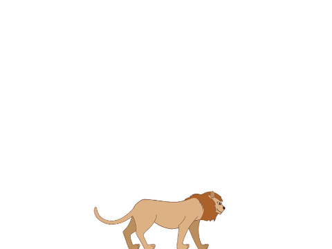 Lion Life Trailer