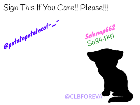 SAVE BLACK CATS! remix remix remix remix