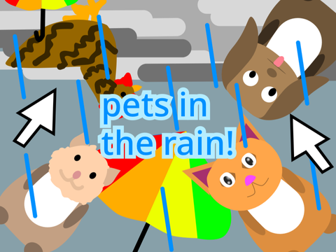 pets in the rain!