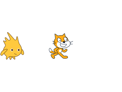 急に現れる猫