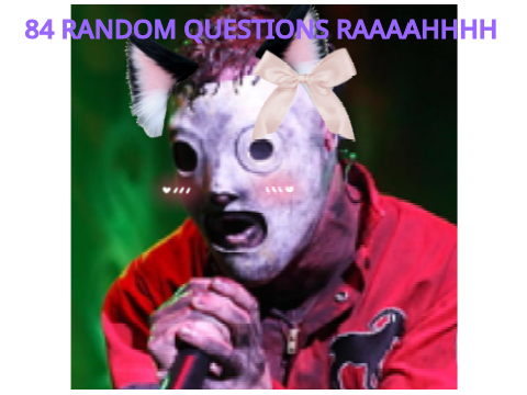 84 random questions by gerld