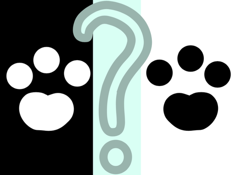 Dog Reveal!!! :3