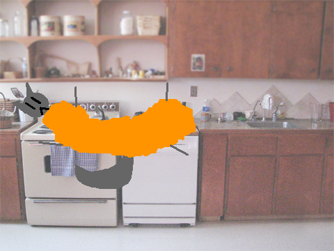 Hungry Cat