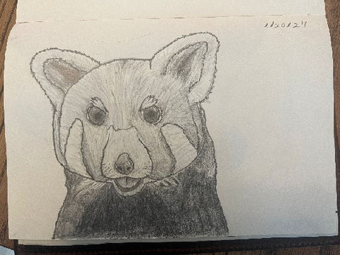 Red Panda