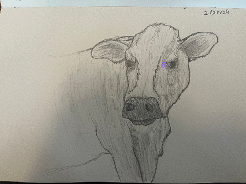 Cow