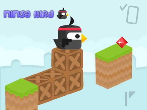 Ninja bird 