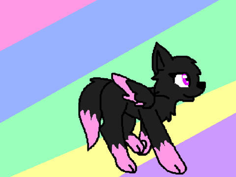 -x- W A L K  C Y C L E -x-