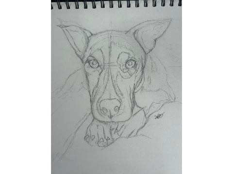 Pet dog art request w.i.p