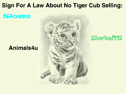 CLICK THIS NOW- SAVE THE TIGERS!